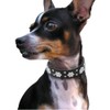 Rhinestone Dog Collar, Cute Flower Rhinestone Cat Dog Collar Bling