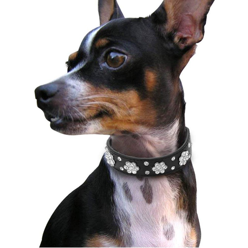 Rhinestone Dog Collar, Cute Flower Rhinestone Cat Dog Collar Bling