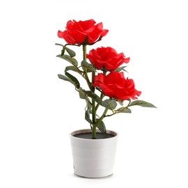 Solar Decorative Light Pot LED Simulation Flower Lights Outdoor for Patio Back Yard Garden Lawn