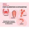 Marcus Rohrer Astaxantina, Integratore Alimentare Antiossidante, Protezione da Sole, Raggi