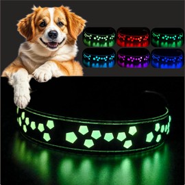 DOGLED Flashing USB-C led Light up Dog Collar, Subversive 3D Design Comfortable and Soft Material,Multicolored Lighting (STR-Black, M(15.7-19.7"))