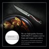 Hammer Stahl Steak Knives Set Of 4 | High Carbon