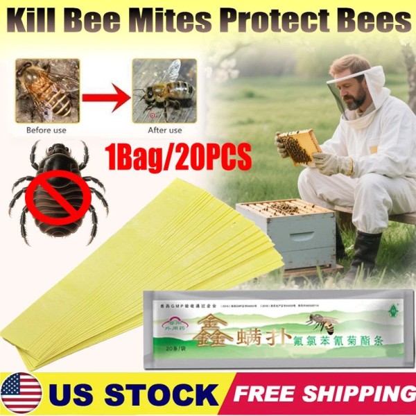 Unbranded 20Pcs Bee Mites Strip Medicine Pest Control Durable Tool