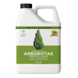 Leaves and Soul Professional Arbor Vitae Tree Fertilizer Liquid Concentrate - 6-4-6 Blend for Arbor Vitae, Garden Use - Liquid Plant Food for Arbor Vitae Trees and Shrubs Outdoors - 32oz