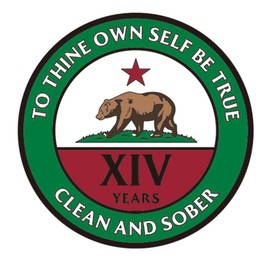 California Bear Recovery Medallion Years 1-50 Available Alcoholics Anonymous AA Chip (Year 1-50) Year 14