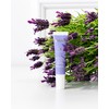 Bielenda SORAYA LAVENDER ESSENCE Lavender Moisturising Eyes and Eyelid Cream,