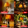 2 Set DIY Wine Bottle Lamp Kit with E26 LED