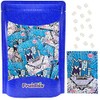 Fruidles Sugar Free Gum Mini Chicles Peppermint Flavor 3000 Pieces