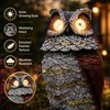 Solar Owl Garden Statue for Outdoor Decor – Glowing Eyes