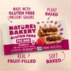 Nature’s Bakery Gluten Free Fig Bars, Raspberry, Real Fruit, Vegan,
