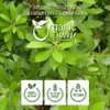 Organic Way Myrtle Leaf Powder (Myrtus communis) - European Wild-Harvest