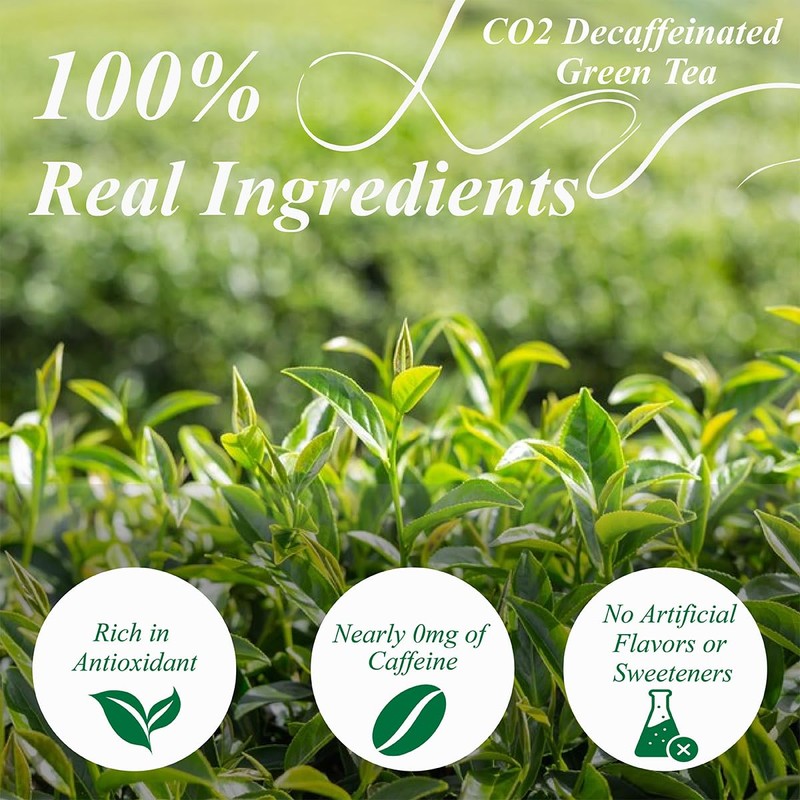 WT WEETEE Decaf Green Tea Bags, 100 Count CO2-Decaffeinated Green