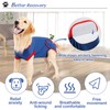 Doglemi Dog Surgery Recovery Suit, Recovery Suit for Dogs After