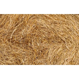 Organic Wheat Straw- 100% Natural Wheat Straw Ideal for Gardening, Decor, Animal Bedding and Eco-Friendly Projects 8 Pounds