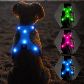 Flashseen LED Dog Harness, Lighted Up USB Rechargeable Pet Harness, Illuminated Reflective Glowing Dog Vest Adjustable Soft Padded No-Pull Suit for Small, Medium, Large Dogs (Blue, S)