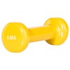 Sport-Tec Dumbbell gym, dumbbell vinyl, dumbbells aerobic, dumbbells made of