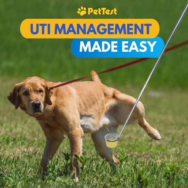 PetTest i-Catch Telescoping Dog Urine Catcher, 45-inch Extendable Dog Pee
