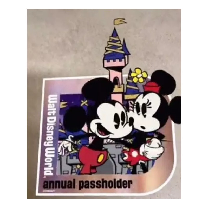 Passholder Magnet Set Of 10 Magnets (Homemade)