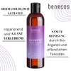 benecos Natural Basics Shampoo Shine & Repair Organic Argan Oil