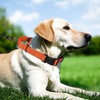 Erbine Neoprene Padded Martingale Collar for Dogs, Reflective Soft Nylon