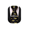 Barry.Wang Silk Ties for Men Fun Necktie and Tie Clip