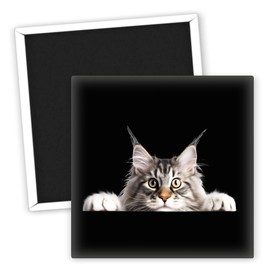 Maine Coon Motiv - Kühlschrankmagnet für Katzenliebhaber - süße Katzen Kühlschrankmagnete - lustige Katzen Magnete - originelle Katzen Geschenke - Katzen Deko für Tierfreunde
