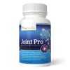 YongWell Joint Pro, Maximum Joint Support Complex (100 Tablets)