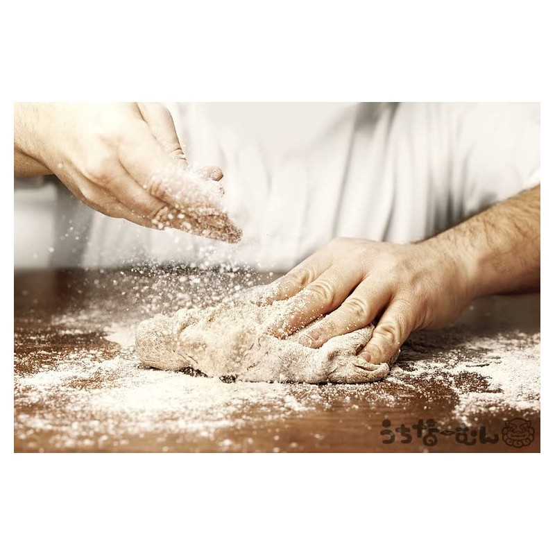 Ishigaki Salt 17.6 oz (500 g) 1 Bag