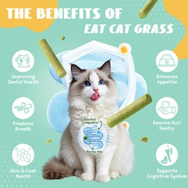 Petrivium 100g Cat Grass Sticks, Cat Teeth Cleaning Treats, Freeze Dried Dental Chew Treats for Indoor Kittens - Delicious Cаt Chew Stick for Teeth Cleaning and Hairball Removal