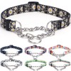 Bbmmayy Martingale Collar, Training Dog Collar, Stainless Steel Chain Pet