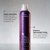 RUSK Deepshine PlatinumX Mousse, Lightweight, Alcohol-Free, for Platinum, Blonde, Gray,