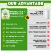 Cat Probiotic Powder, Cat Probiotics for Gut Health, Probiotic Powder