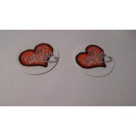 Unbranded Pre Cut One Inch Bottle ALL YOU NEED IS LOVE  Free Shipping - photo, 25 images