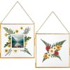 Glass Frame for Pressed Flowers, Leaf and Artwork - Hanging