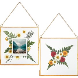Glass Frame for Pressed Flowers, Leaf and Artwork - Hanging Gold 8x8 Square Metal Picture Frames, Clear Double Glass Floating Frame, Wall Decor Photo Display, Set of 2 Flower Press Frames with Chain