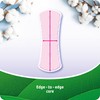 EveryDay All Cotton Large Pantiliners - 100% Cotton - Pack
