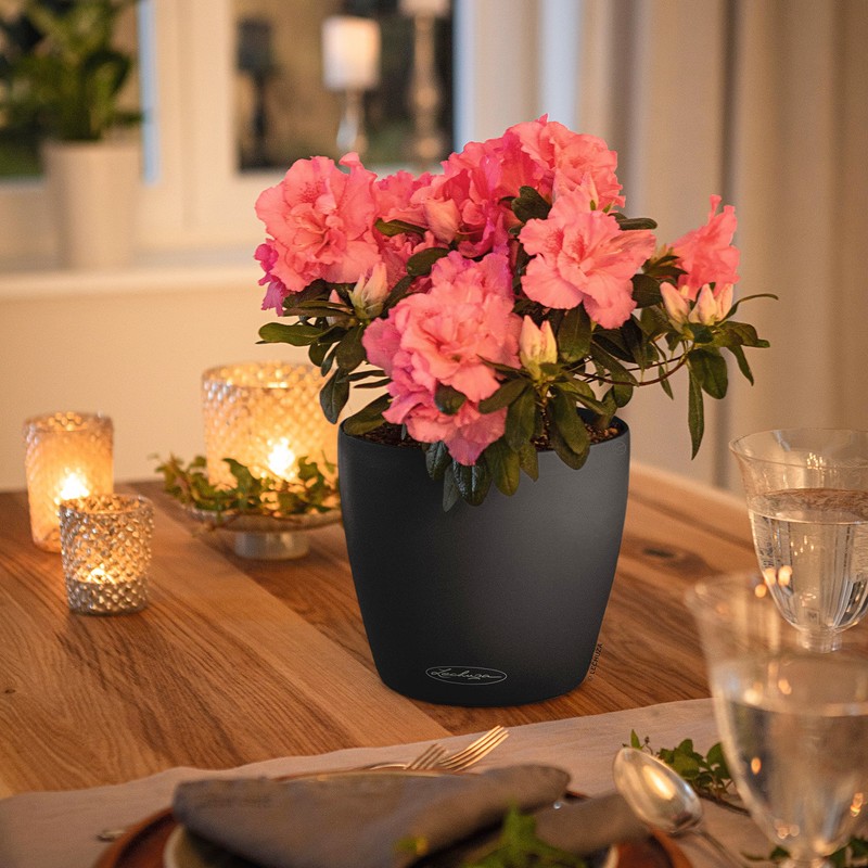 Lechuza Classico Self-Watering Polypropylene Planter, 9" x 9" x 8"