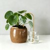Self-Watering Wick System for Effortless Plant Care, Automatic Drip Irrigation,