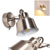 Safari Light Series in Various Designs