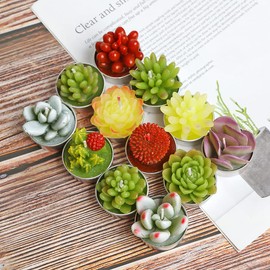 WANGMINGTU Succulent Cactus Tea Light Candles Cute Plant Shaped Bulk for Birthday Party Wedding Baby Bridal Shower Favor Decor Hostess Gift Sets (12 PCS)