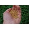 Tri-Clover by Eretz - Three Part Blend of Clovers Providing