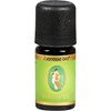Primavera Cypress Organic Essential Oil