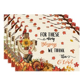 XCHI Thanksgiving Fall Cross Turkey Placemats Set of 4 Table Mats for Party Home Kitchen Dining Table Decorations 12x18 Inch