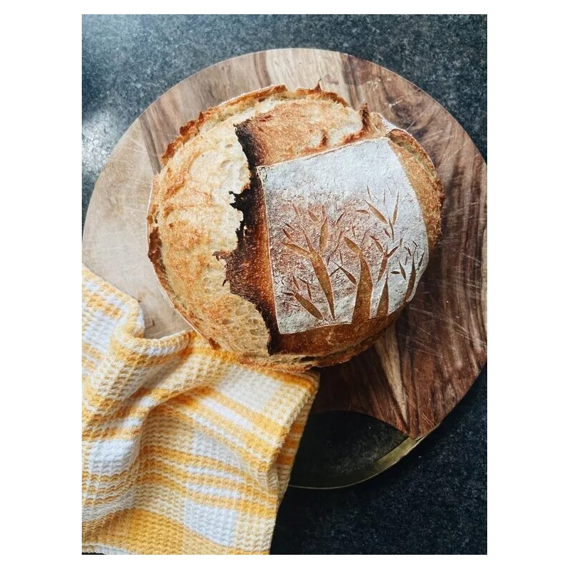 Heritage Sour SAN FRANCISCO SOURDOUGH STARTER DEHYDRATED ACTIVE STRONG SOUR