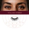 i-ENVY Extension False Lashes, Hybrid Salon Lash Clear Invisible Band