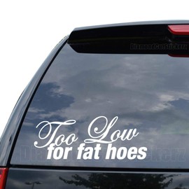 DiamondCutStickerz Too Low for Fat Hoes Japanese JDM Decal Sticker Car Truck Motorcycle Window Bumper Laptop Wall Decor - Size (22 inch / 56 cm Wide) - Color (Matte Black)