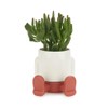 balvi Mini Flower Pot Mr Sitty Colour Red At The