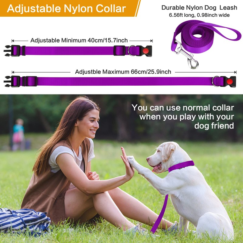 Prong Training Collar with Comfort Tips and Quick Release Snap