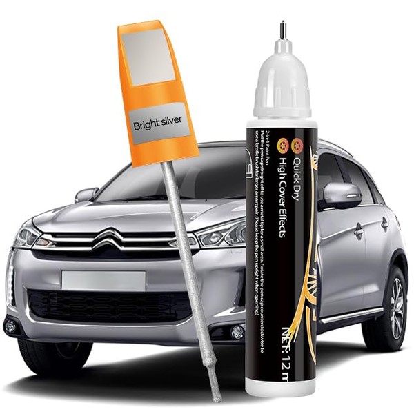 Touch Up Paint for Cars, Easy & Quick Auto Car Paint Scratch Repair, Two-In-One Automotive Car Touch Up Scratch Remover Pen for vehicles, Erase Car Scratches, 0.4oz (Silver-1pcs)
