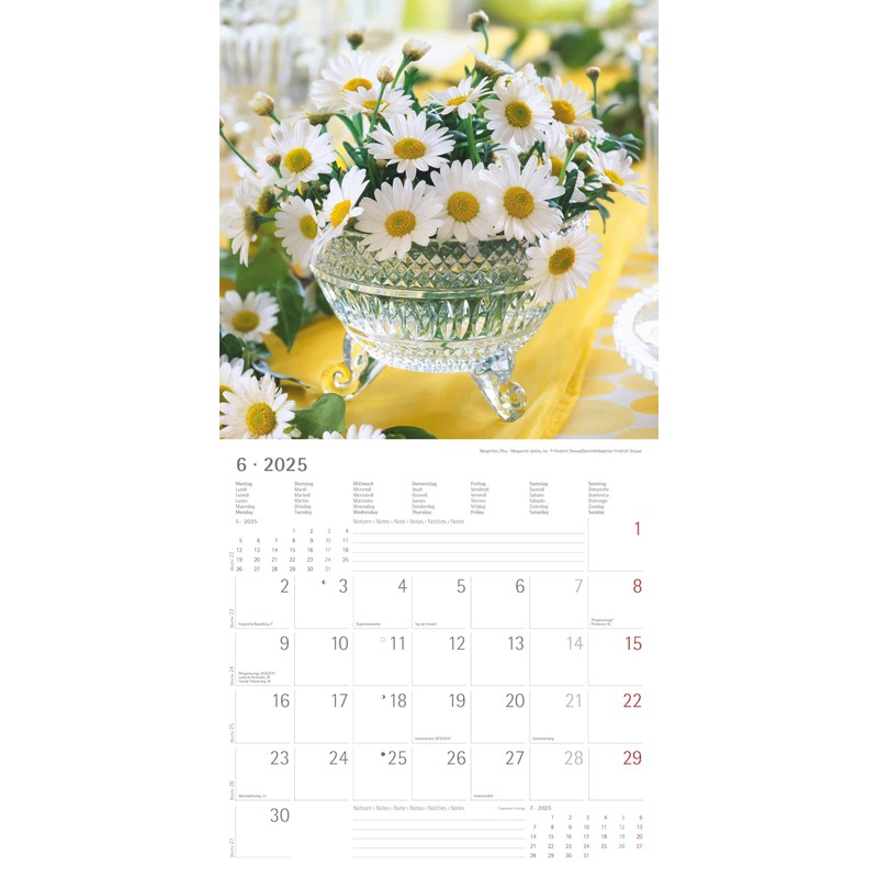 Alpha Edition - Flowers 2025 Brochure Calendar, 30 x 30